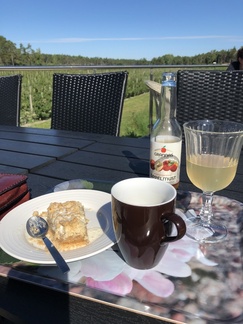 Omenanviljelyfarmin kahvila Granna's. puita silmin kantamattomiin aivan kuin viininviljely